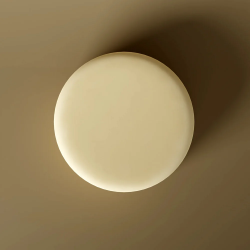 Après-Shampoing solide